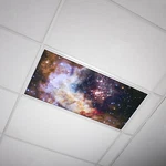 Octo Lights - Fluorescent Light Covers Classroom, Office, Home Astronomy -18. Fixed Price $34.99.
